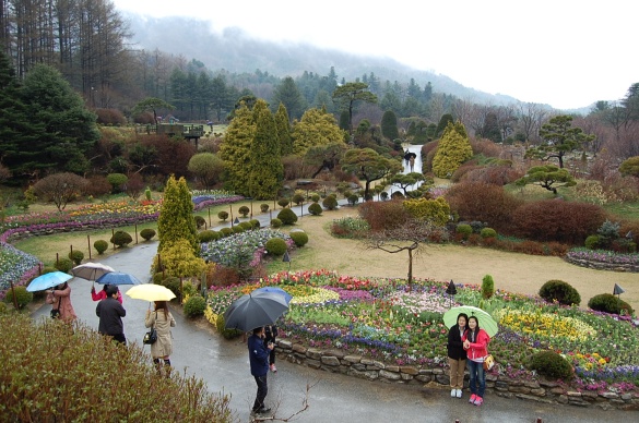 Morning Calm Garden, Gapyeong, Gyeonggi-do
