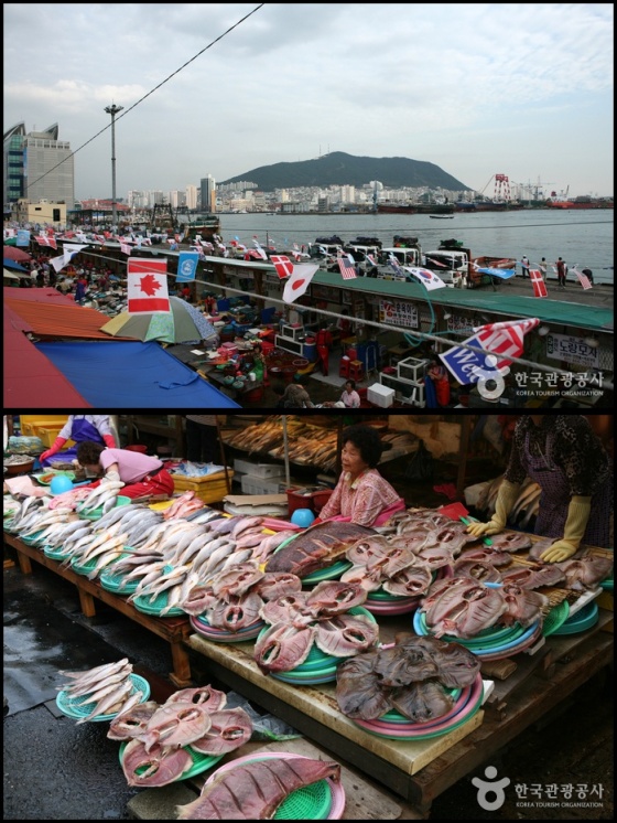 Jagalchi Market, Busan