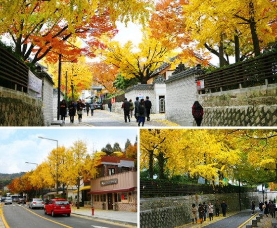 Samcheongdong-gil street (photo source credit to : KTO)