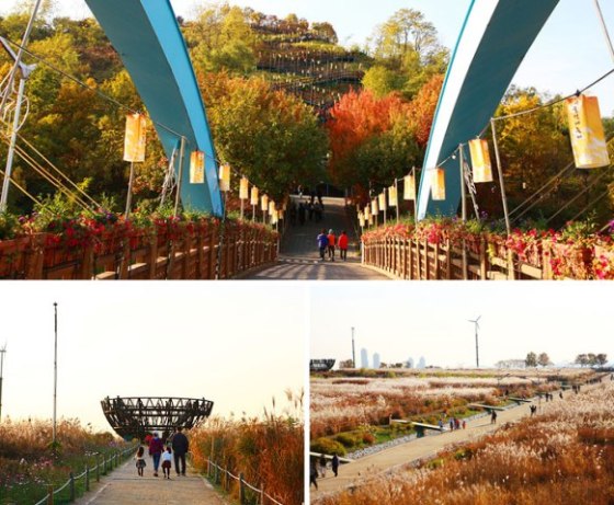 Haneul Sky Park (photo source : KTO)