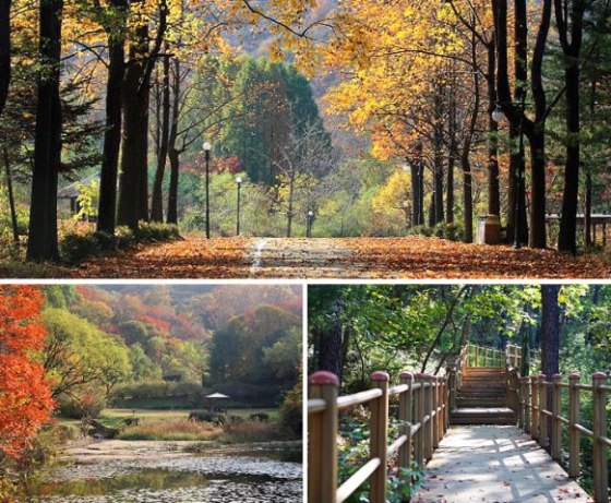 Seoul Grand Park Forest Park (photo source credit to : Seoul Grand Park / KTO)